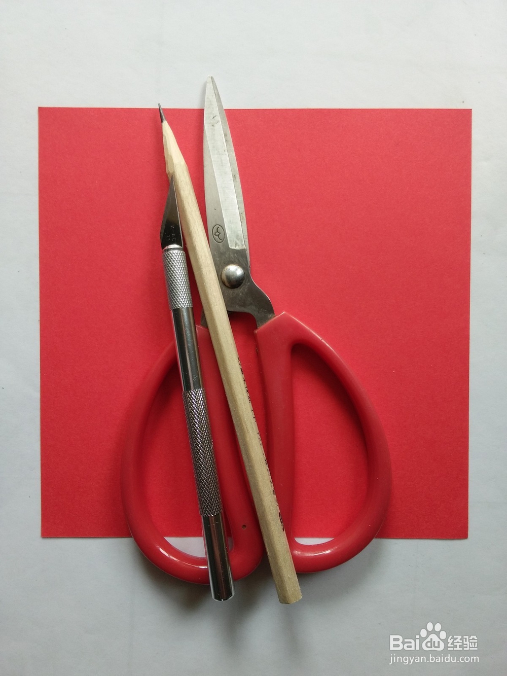 剪纸——怎么剪牵牛花与蝴蝶