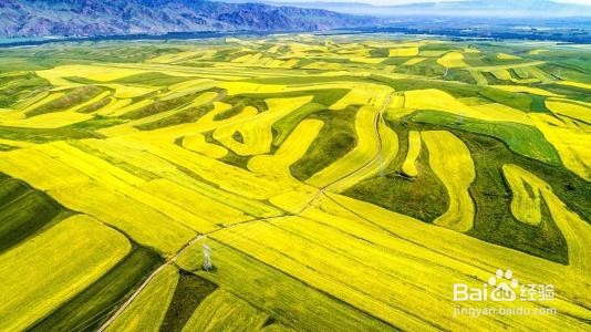 北京到新疆自驾游攻略