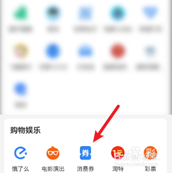 支付宝如何查看账户的消费券