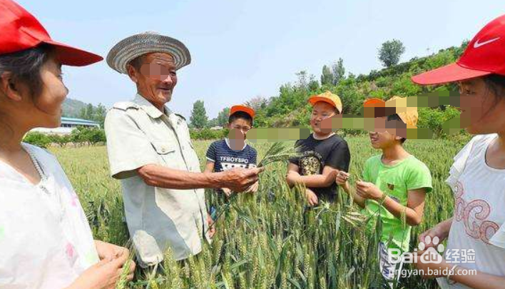 如何使农民稳定取得农产品生产收益