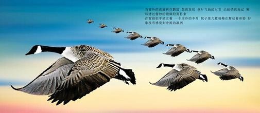 怎样让自己脱离贫穷