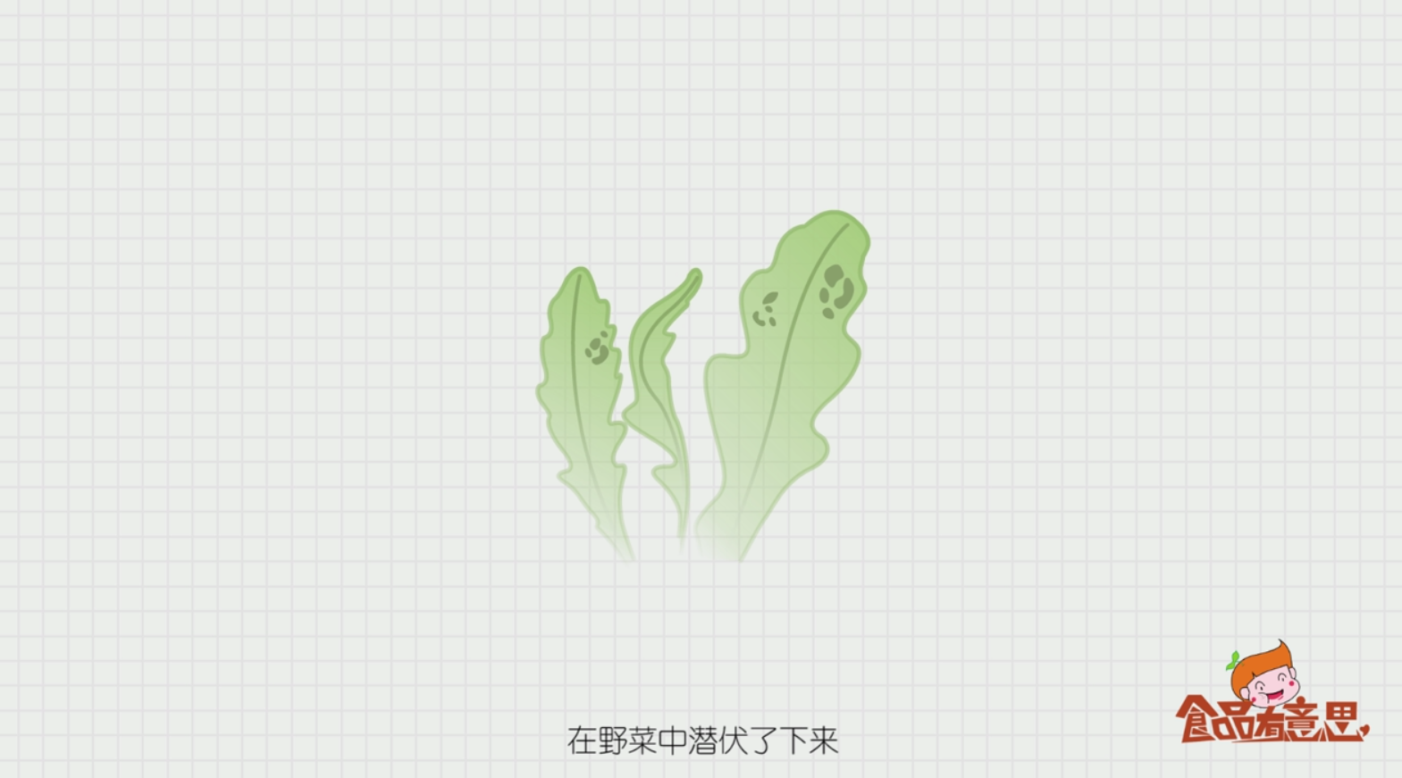 如何区别野菜与绿色食品