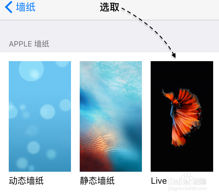 iPhone6s金鱼壁纸不动,6s金鱼壁纸不动