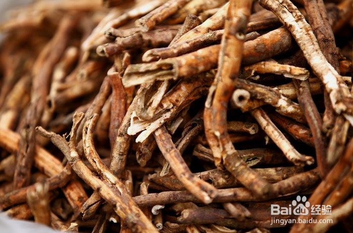 乙型脑炎【华佗妙法】：[2]清瘟败毒饮