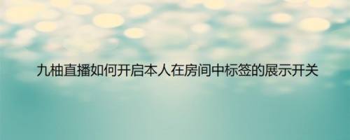 九柚直播如何开启本人在房间中标签的展示开关