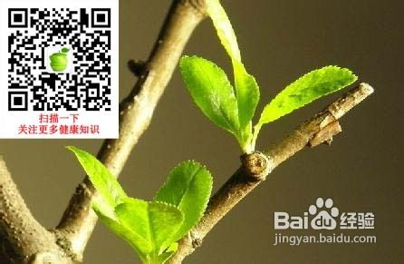 春季中医养生原则