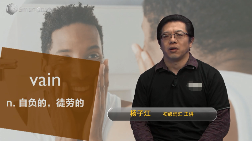 vain是什么意思