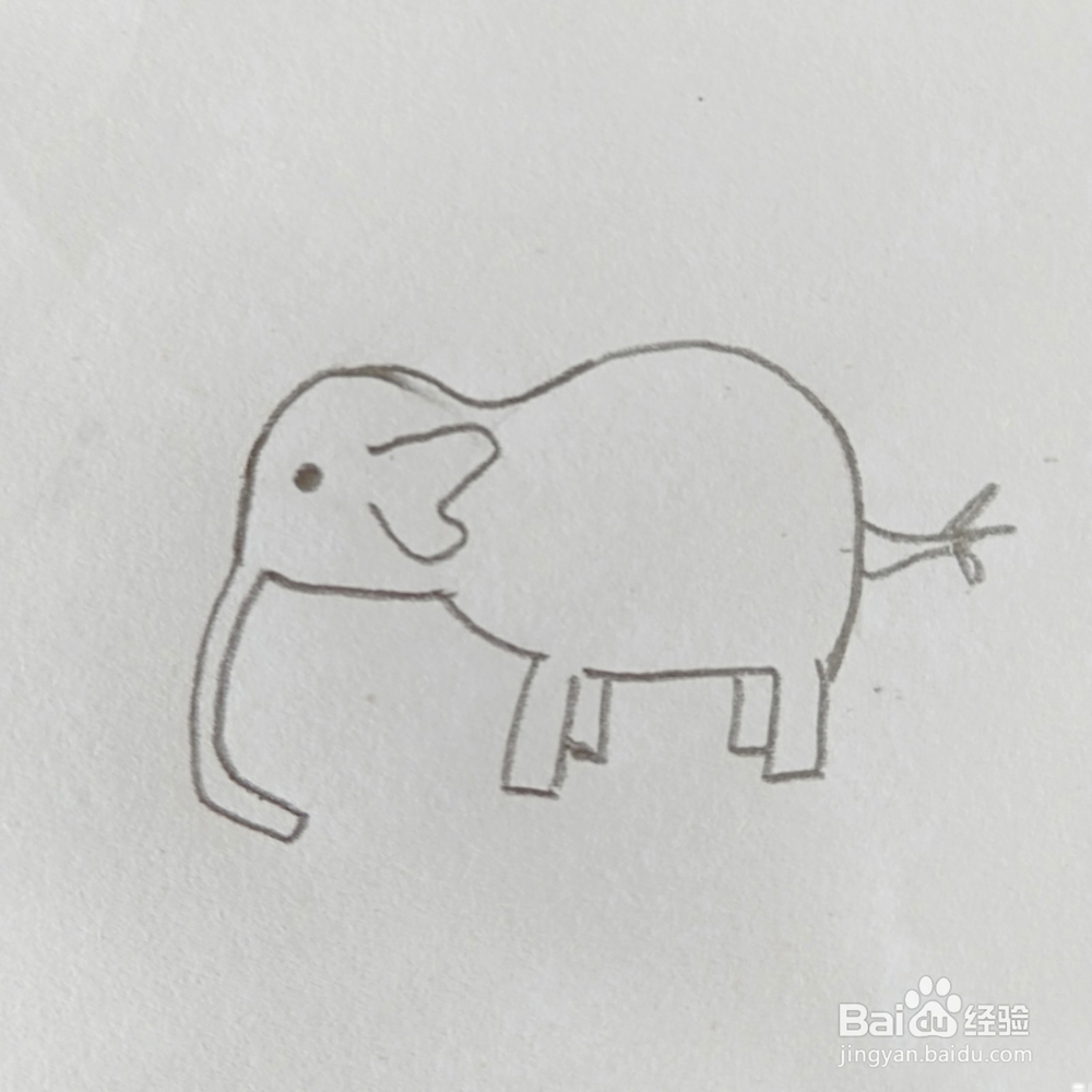 简笔画:可爱小象怎么画