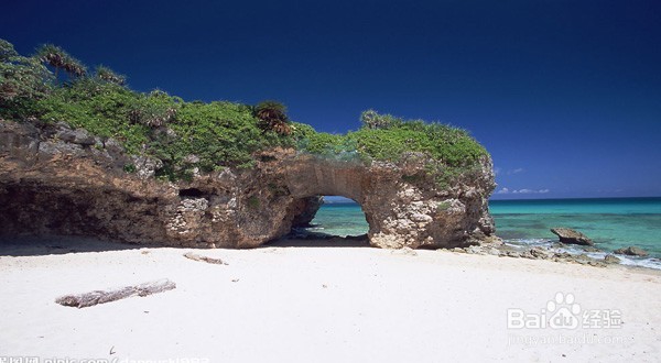 日本自助游五天攻略