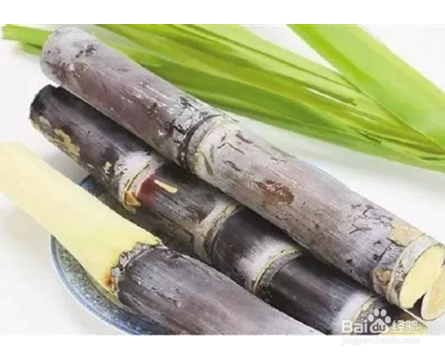 秋天嘴唇干燥怎么办嘴唇干燥吃什么水果好