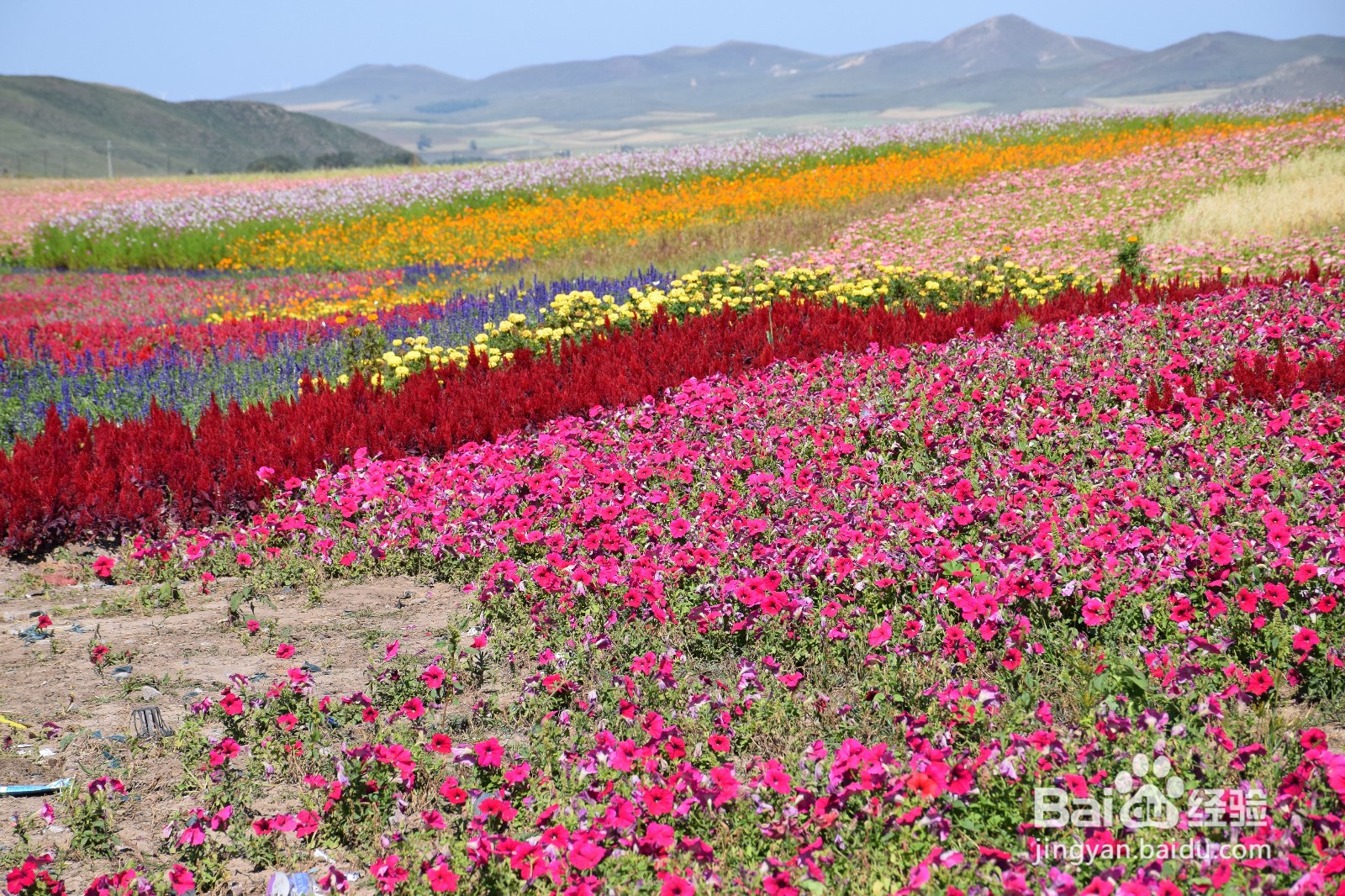 坝上草原民宿推荐，精品民宿价格