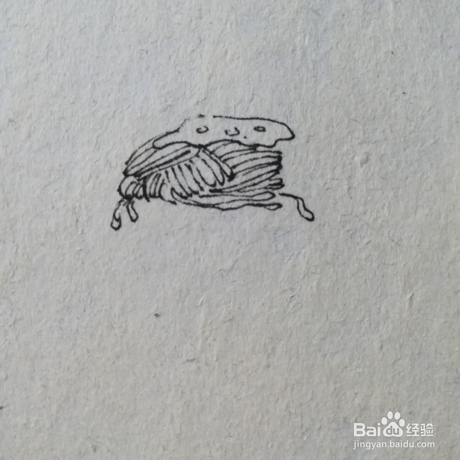 怎么画炒面简笔画