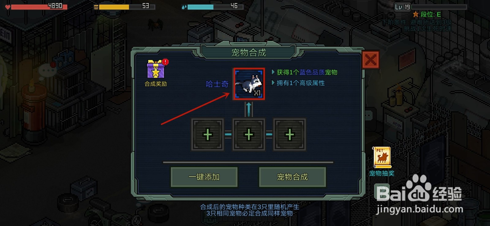 像素危城怎么合成宠物