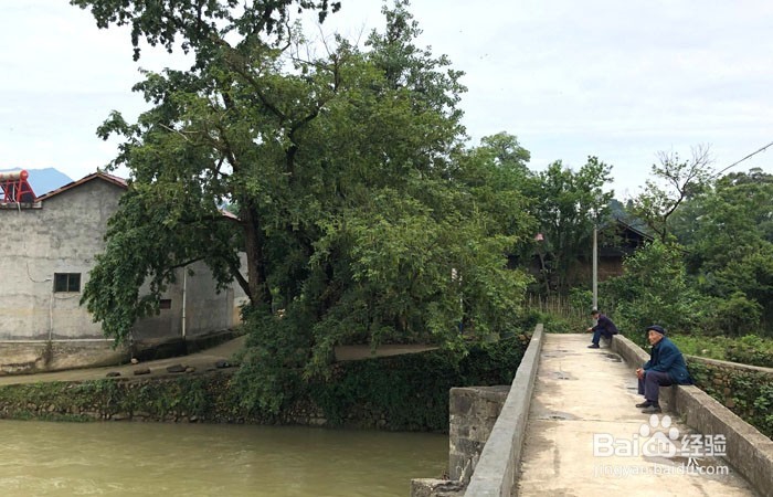 湖南的插柳村苗寨如何欣赏风景