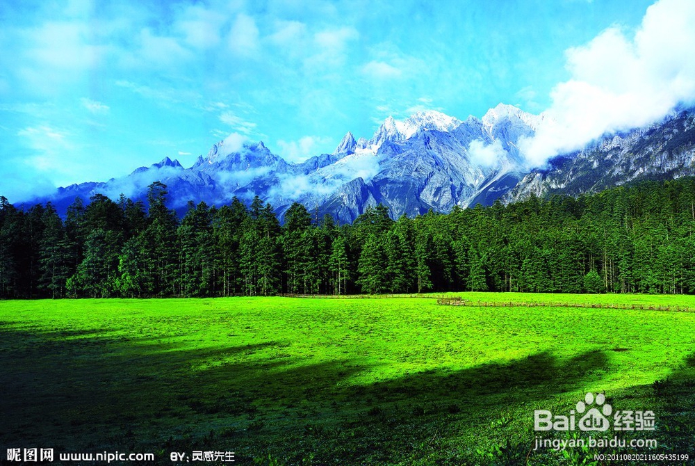 早上早起跑步好