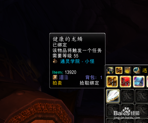 魔兽怀旧服[健康的龙鳞]有什么用