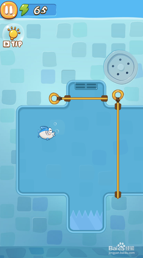 Clownfish Rescue的Level 4怎样通过