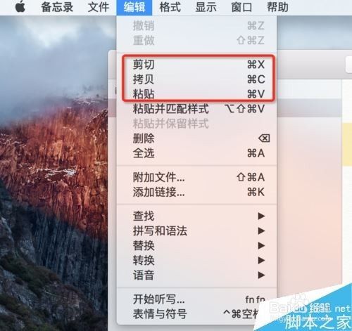 苹果MAC系统复制黏贴快捷键是什么？