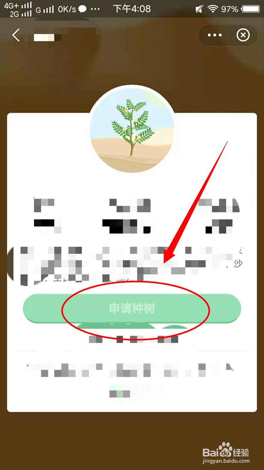 怎样在蚂蚁森林种树