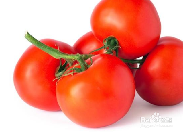 各器官最喜欢的食物