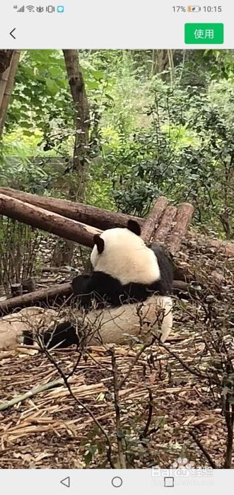 微信聊天背景如何设置?