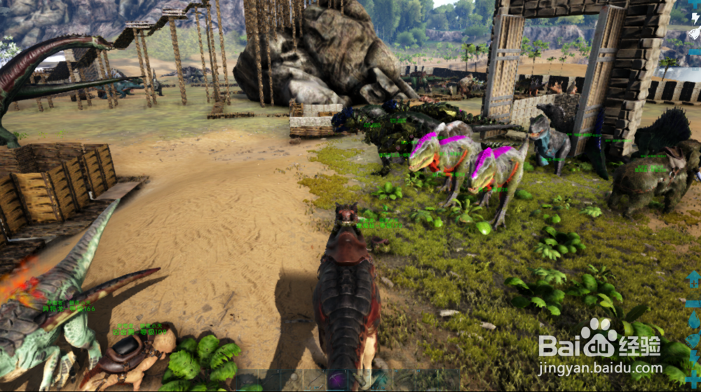 方舟生存进化异特龙如何驯服