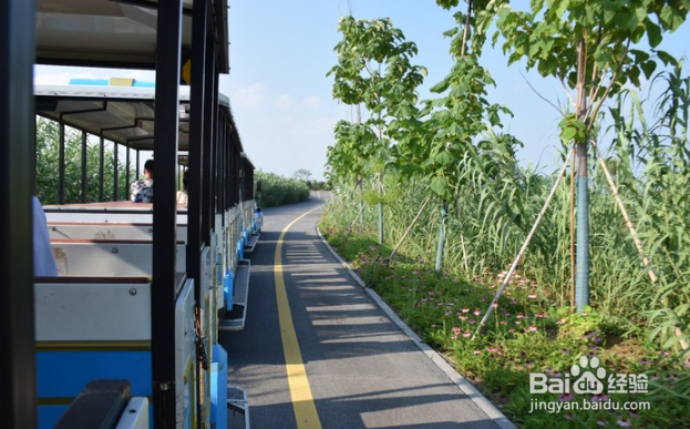 自驾洪泽湖观荷花