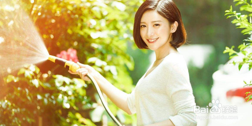 淘米水如何正确的浇花?