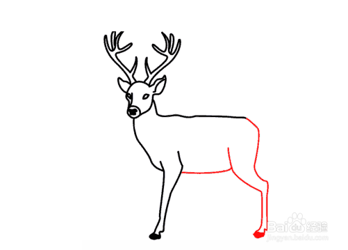 一头鹿怎么画图片