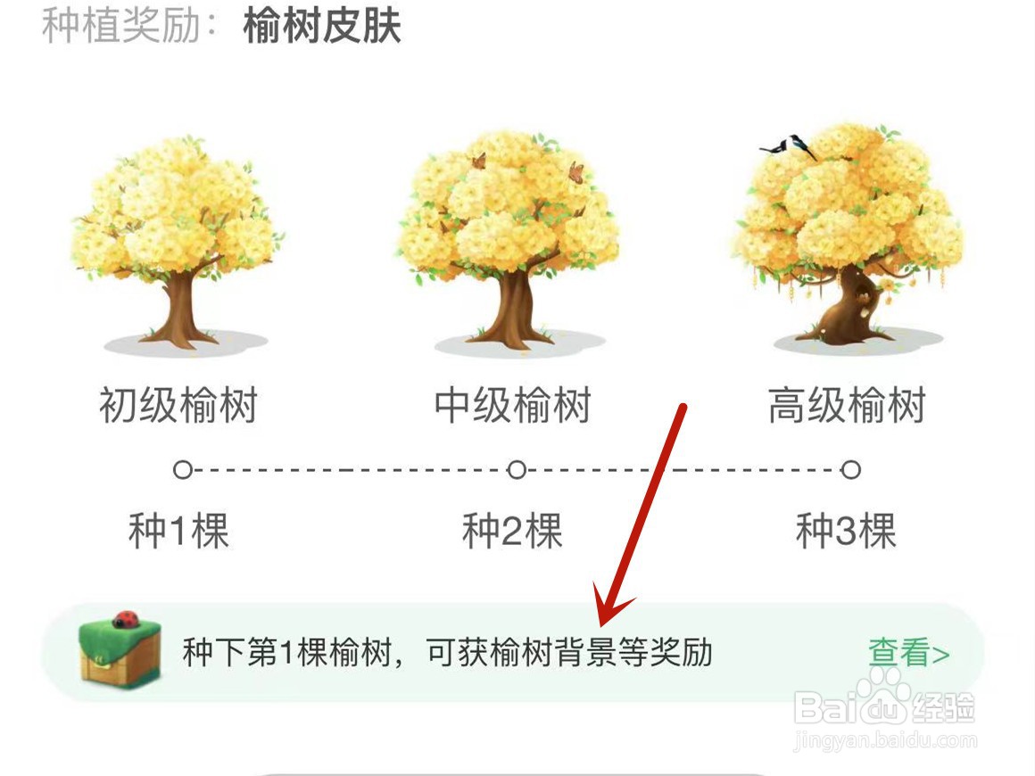 蚂蚁森林背景怎么获得