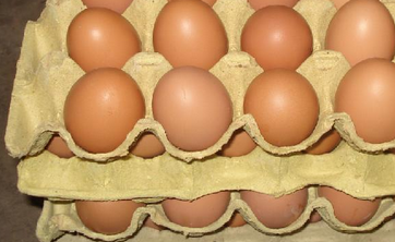 鸡蛋的挑选方法