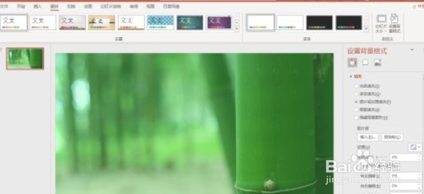 office2021更换ppt幻灯片背景图片