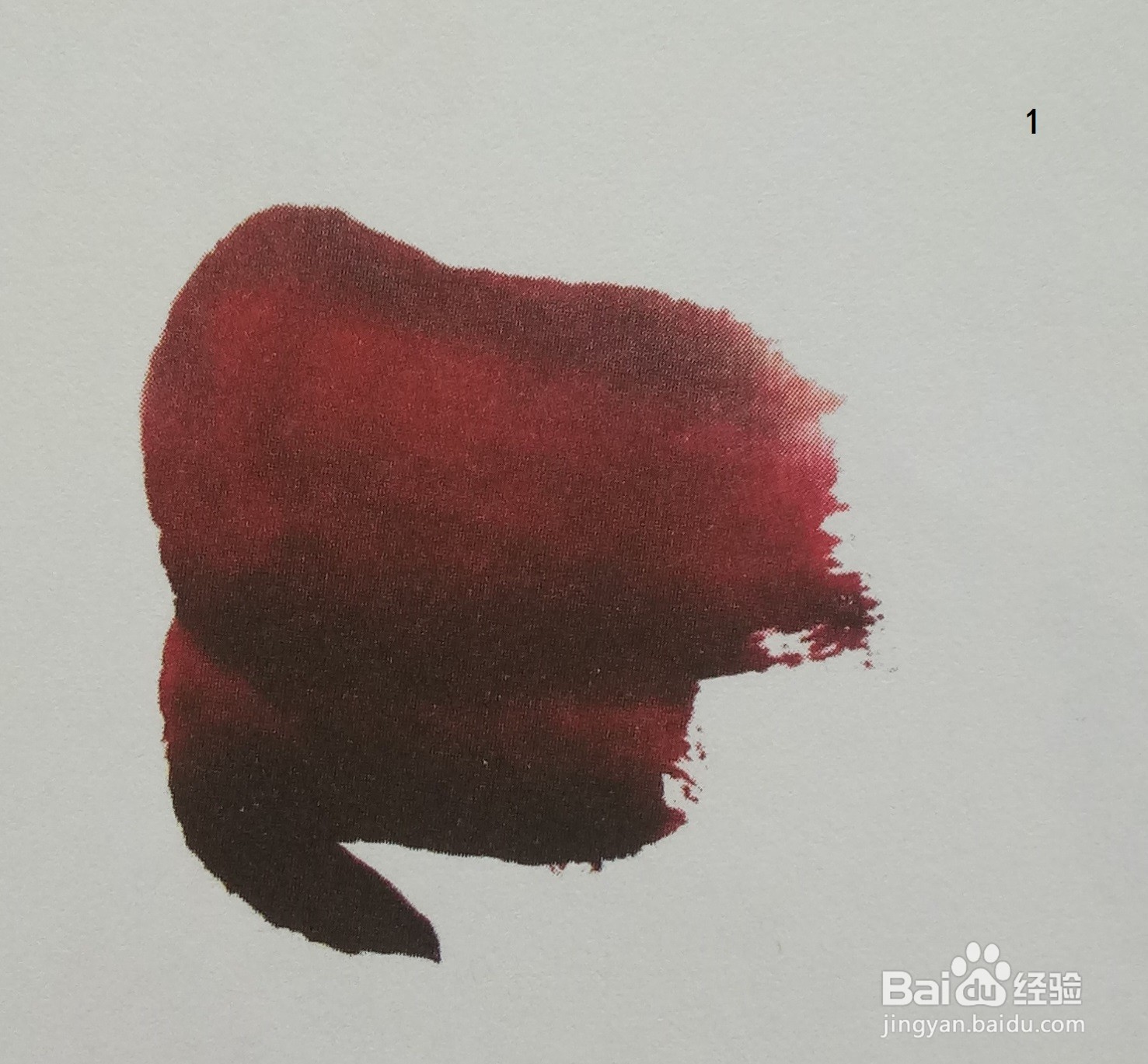 国画：红萝卜的绘制