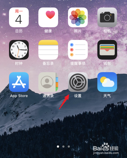 苹果软件权限怎么开
