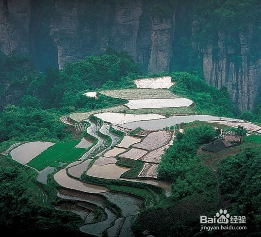 柳州到张家界自驾游