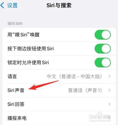苹果手机助手声音怎么才能改