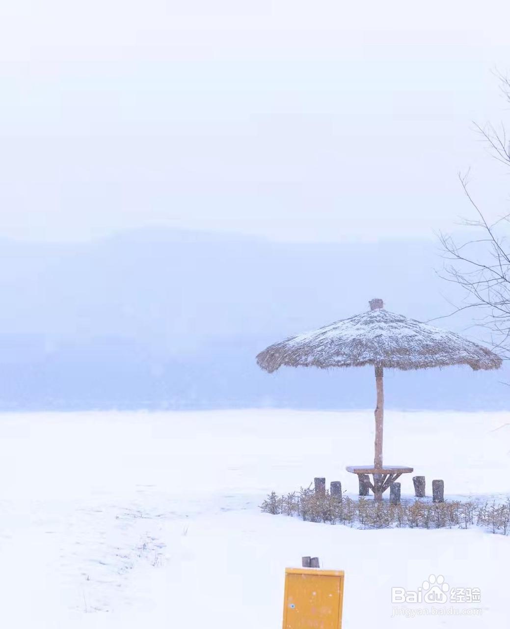漠河|北极村