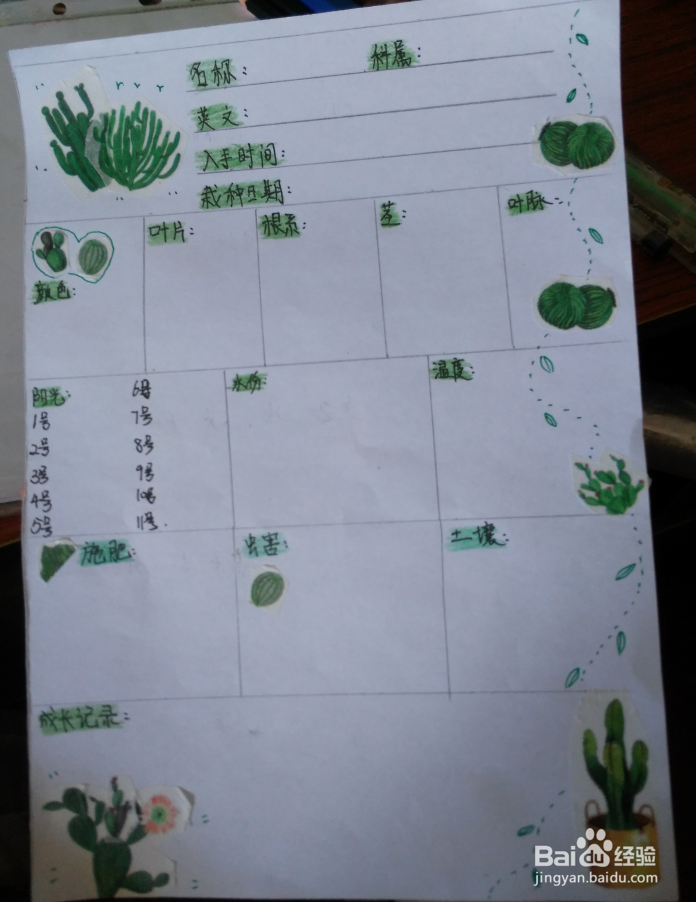 如何做植物笔记