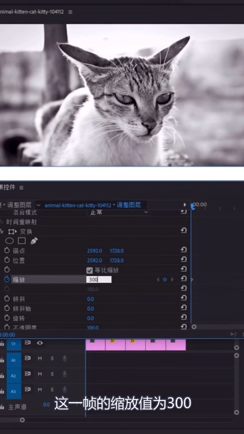 教你pr制作缩放卡点效果