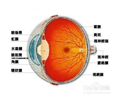 视神经萎缩为什么这么难治疗