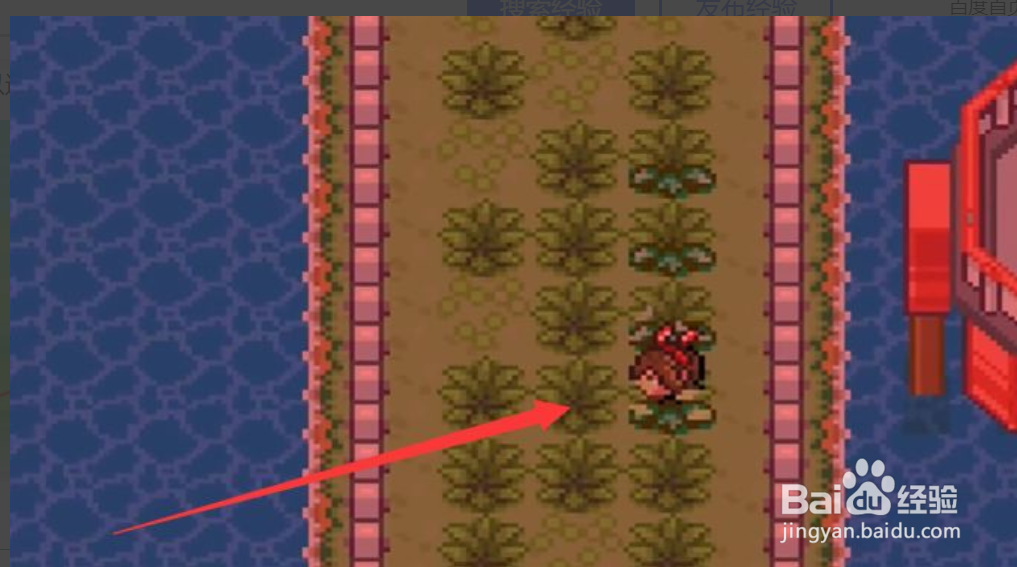 在哪领取究极绿宝石5电龙