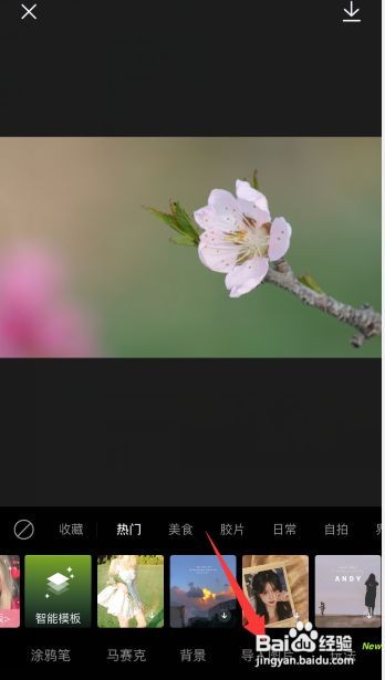 醒图的图层面板在哪里