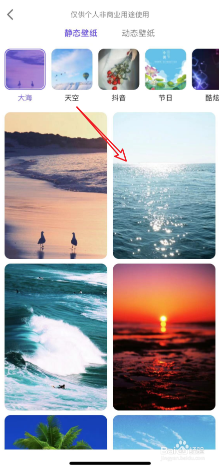 手机壁纸超清图