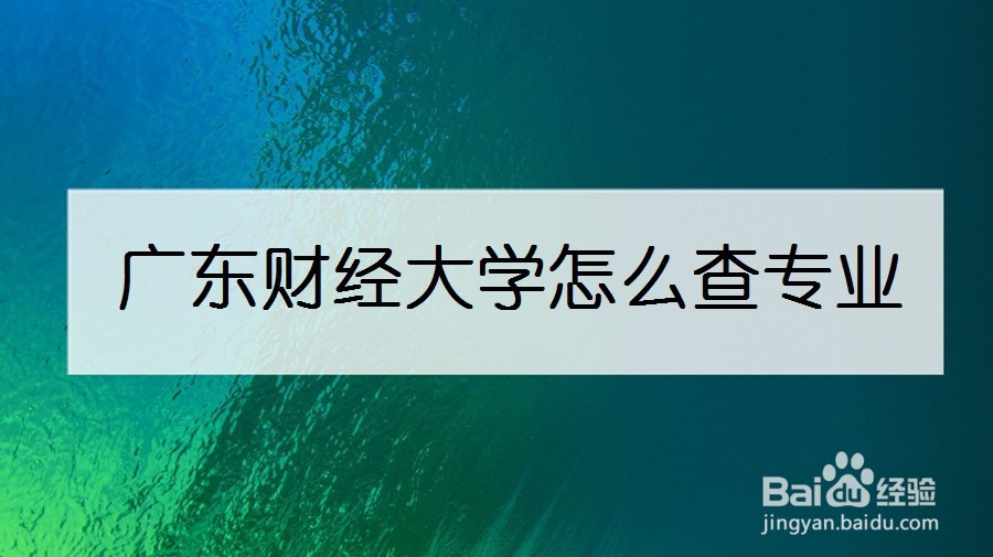 广东财经大学怎么查专业