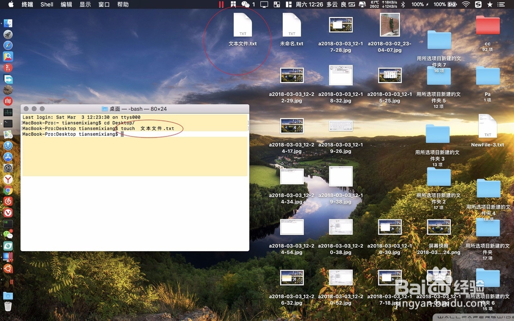 Mac上如何文本文档