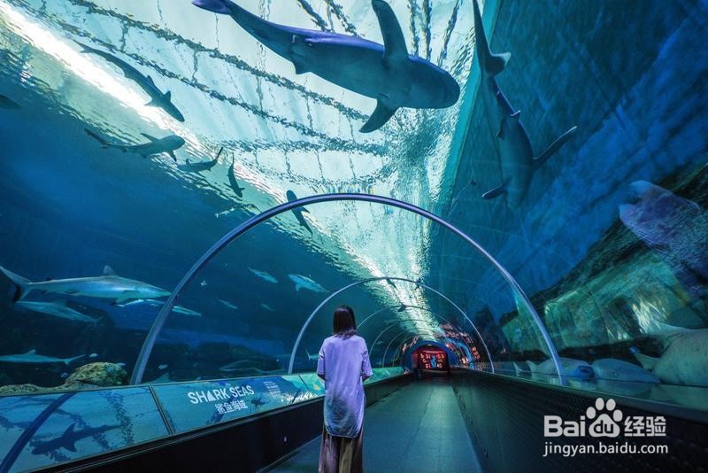 新加坡旅游简记19