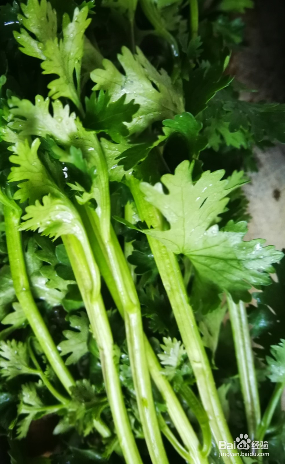 香菜鸡蛋汤的做法