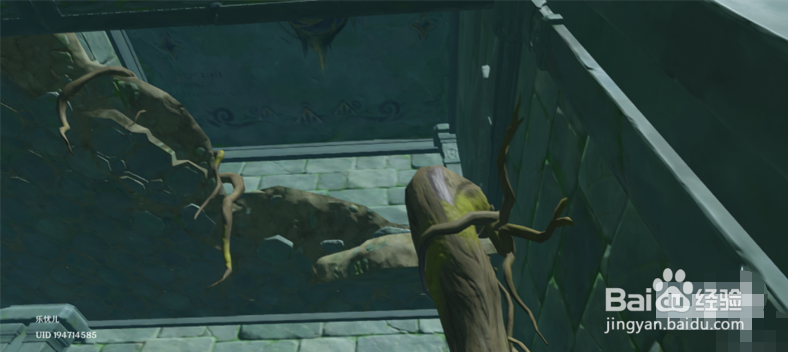 原神知比山雷鸟解密