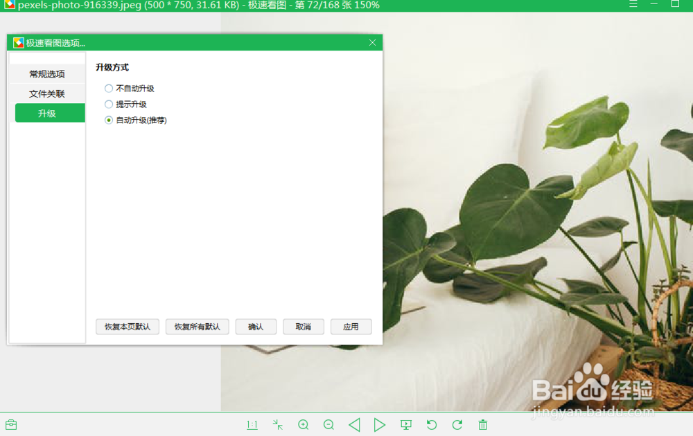 怎么设置极速看图的升级方式？