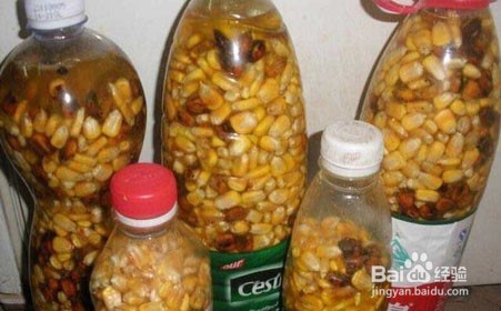 玉米钓鱼饵料做法